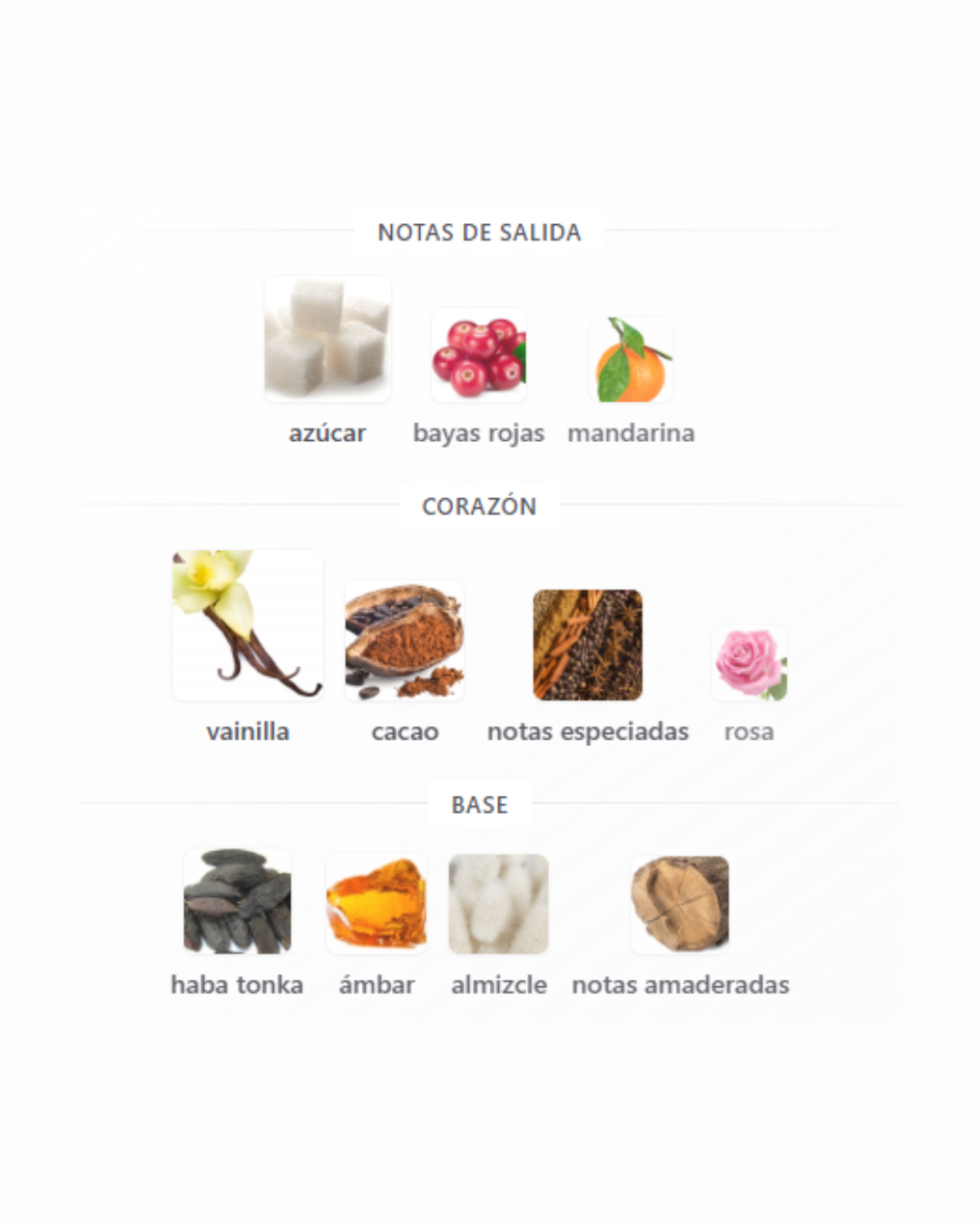 TACITA