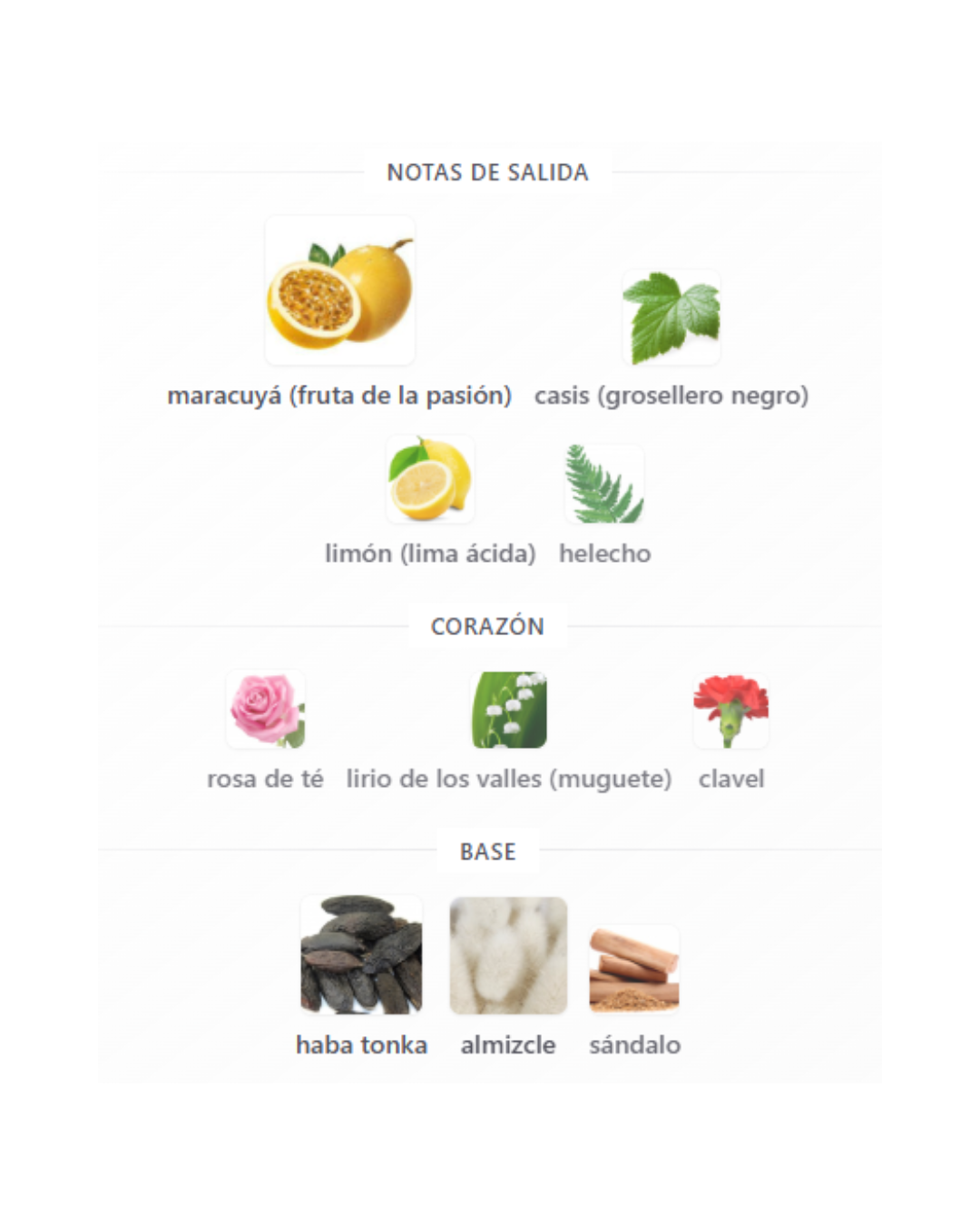 FELICITAS