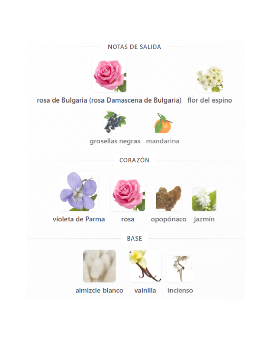 FIORI