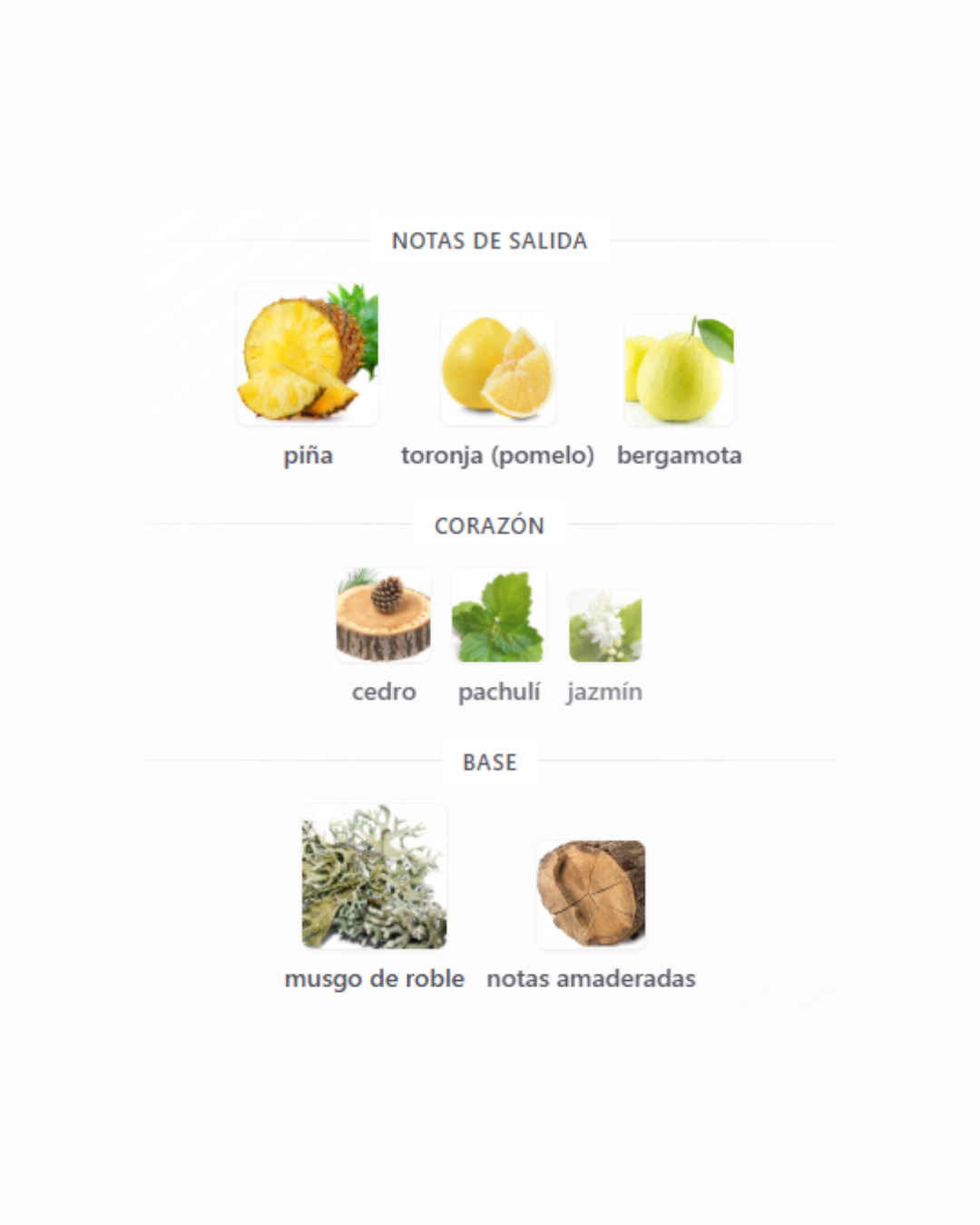 VIRGILIO