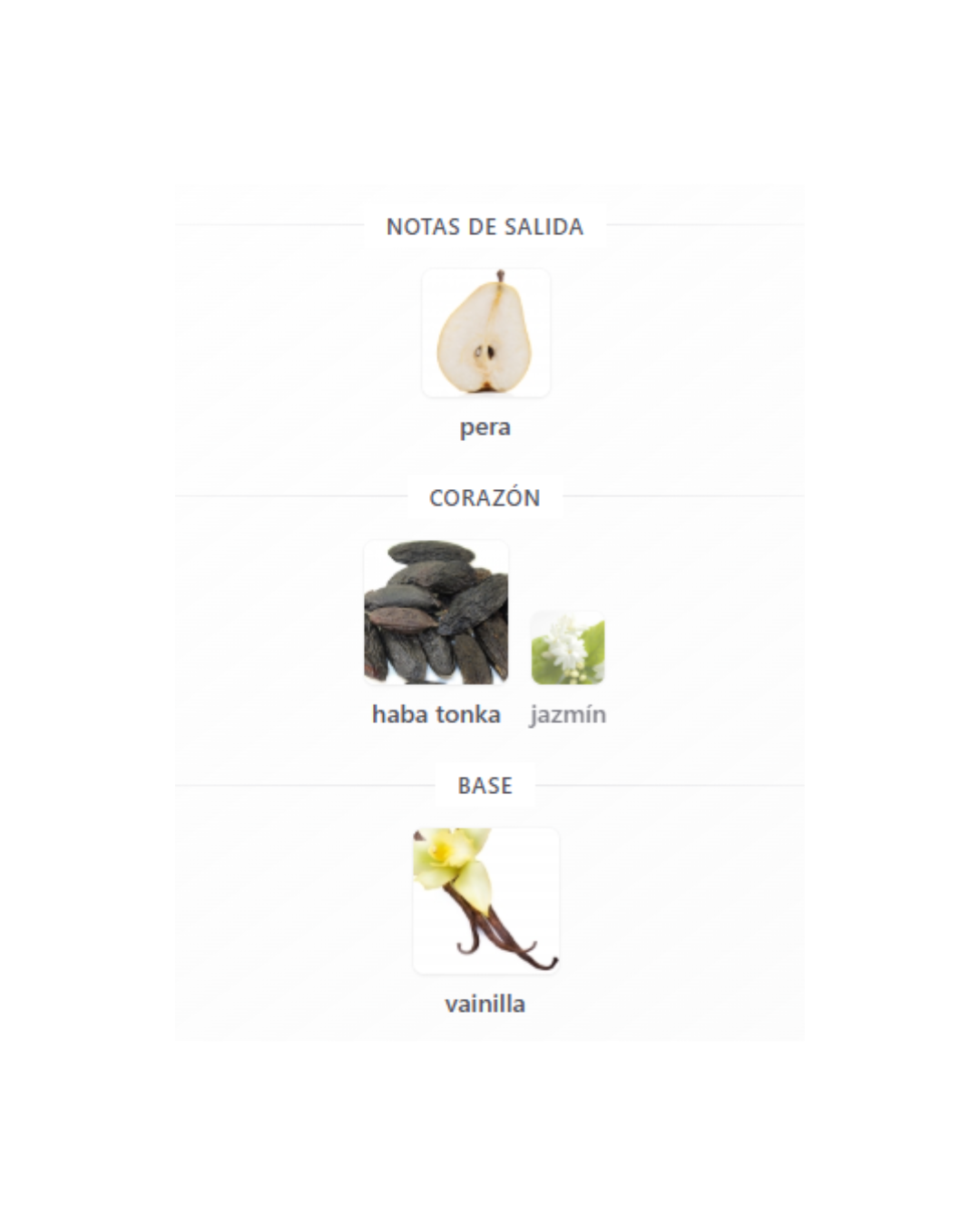BARCACCIA