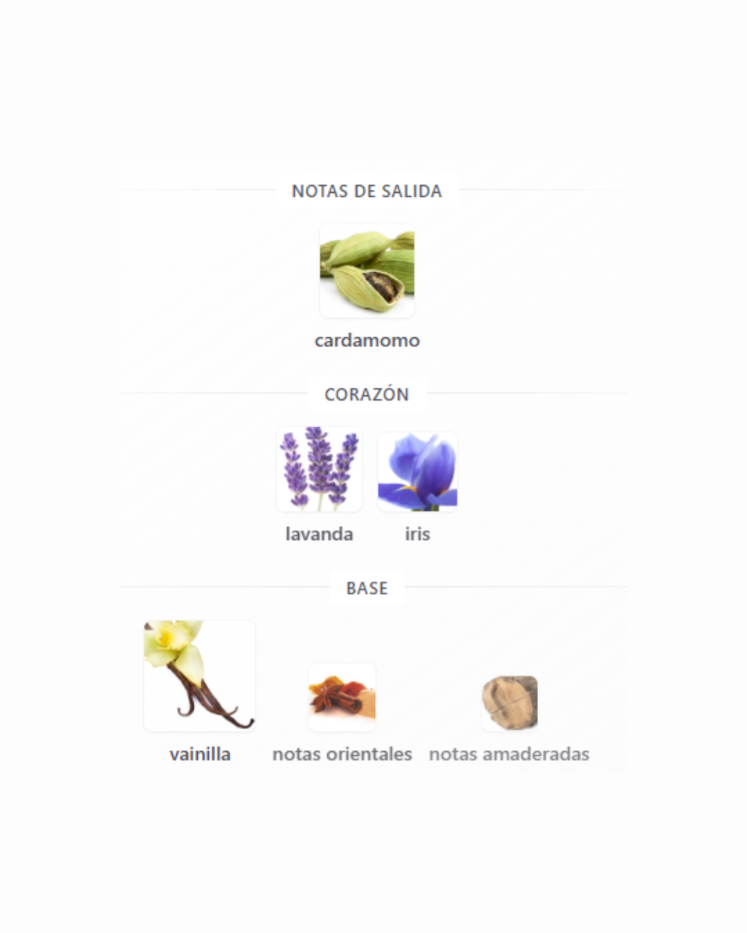 MÁXIMO