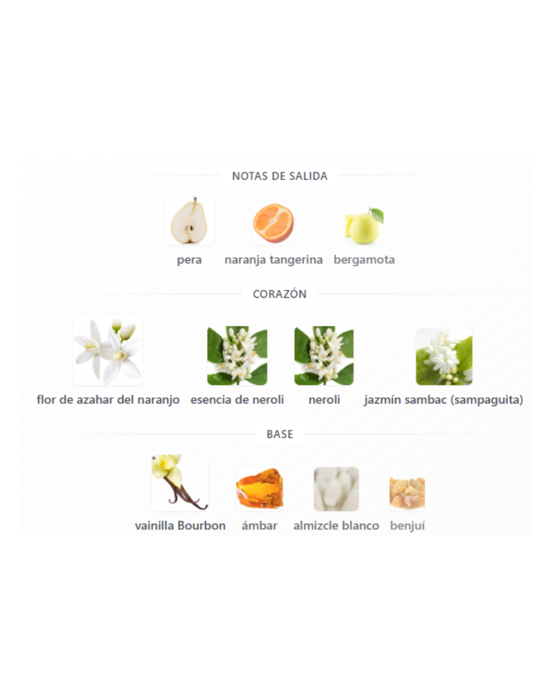 INTENSUM