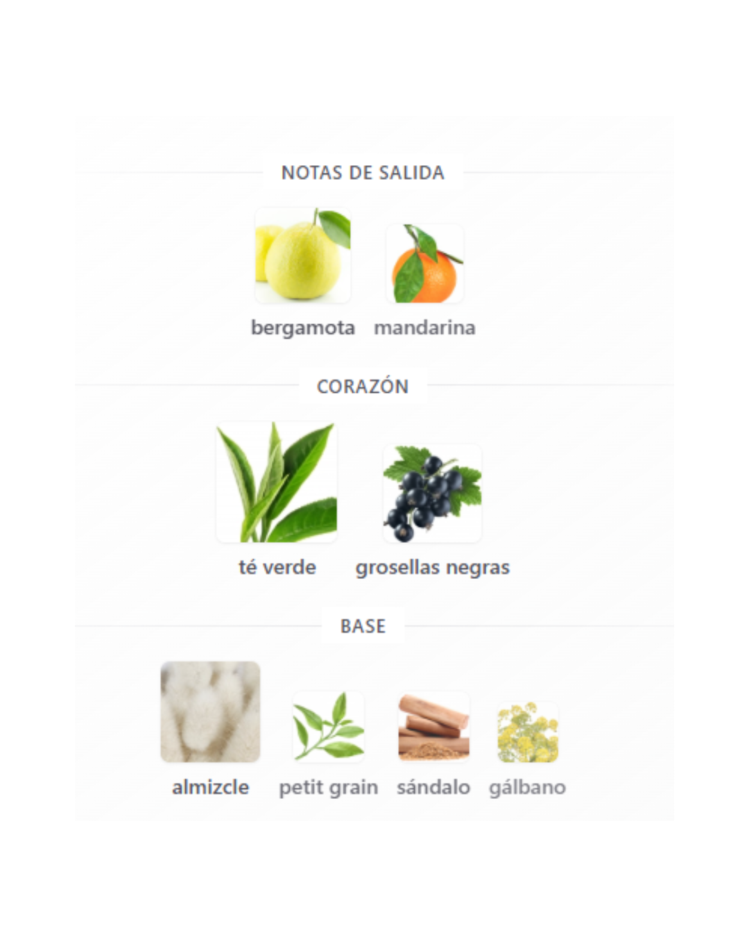 MARASCA